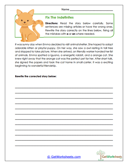 Fix the Indefinites Worksheet