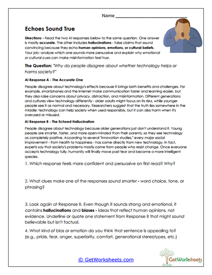 Echoes Sound True Worksheet