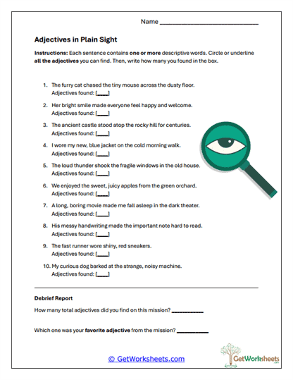Adjectives in Plain Sight Worksheet