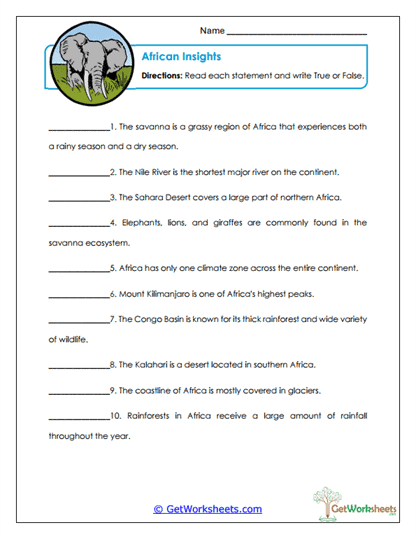 African Insights Worksheet