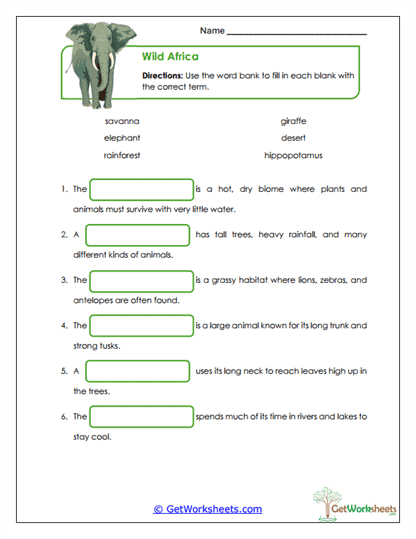 Wild Times Worksheet