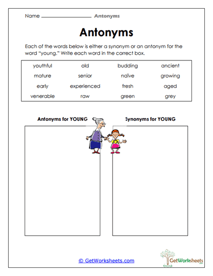 Sorting Synonyms and Antonyms Worksheet
