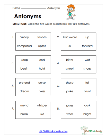 Opposite Pairs Worksheet