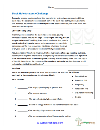 Anatomy Challenge Worksheet