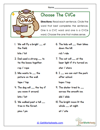Choose the CVCe Worksheet