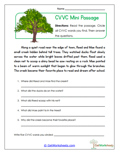 Mini Passage Worksheet