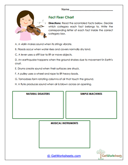 Fact Categorizer Worksheet