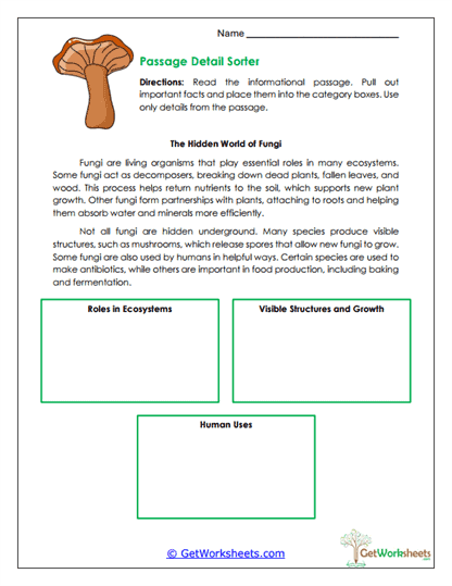 Detail Sorter Worksheet