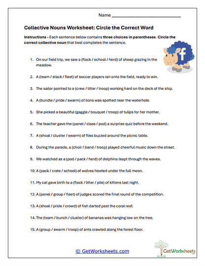 Circle the Collective Worksheet