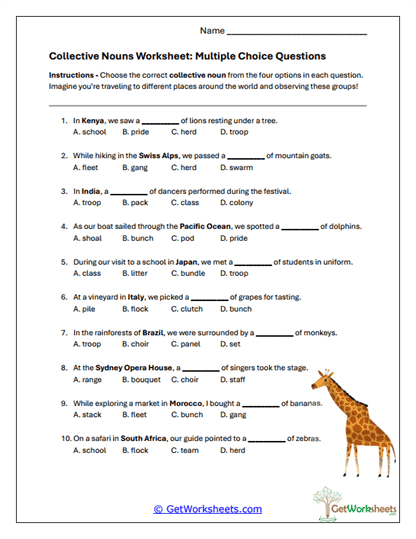 Collective Choice Worksheet