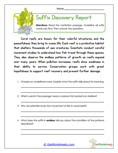 Discovery Report Worksheet