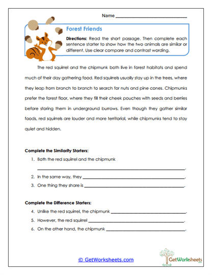 Compare and Contrast Essay Worksheets