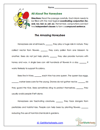 All About the Honeybee Worksheet