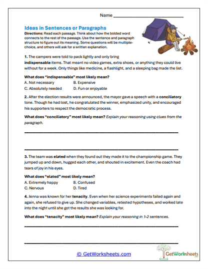 Ideas in Sentences or Paragraphs Worksheet