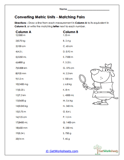 Metric Matching Pairs Worksheet