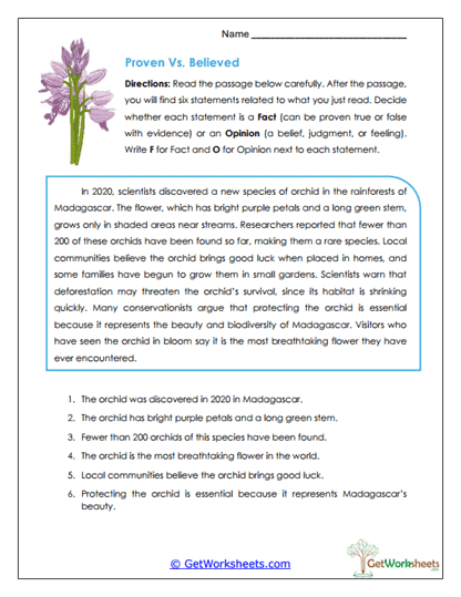 Facts vs. Opinions Worksheet