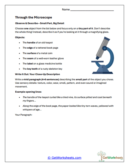 Through the Microscope Worksheet