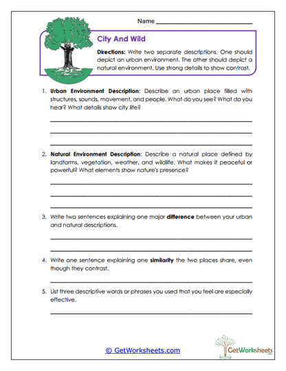 City and Wild Worksheet