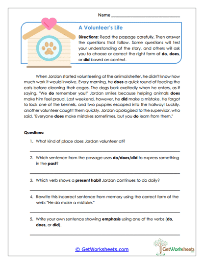 Volunteer Story Analysis Worksheet
