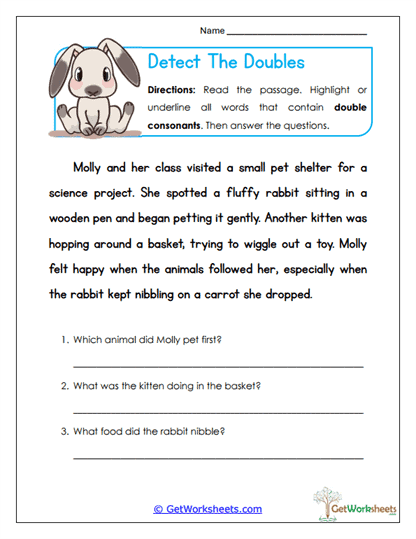 Double Consonant Worksheets