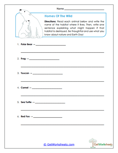 Homes of the Wild Worksheet