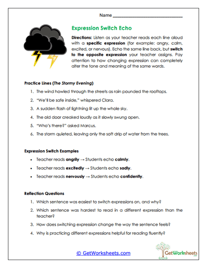 Expression Switch Worksheet