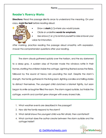 Reader's Fluency Marks Worksheet