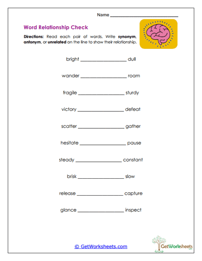 Word Relationship Check Worksheet