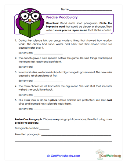 Precise Vocabulary Worksheet