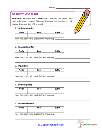 Word Anatomy Lab Worksheet