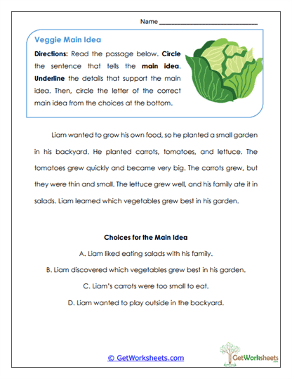 Veggie Main Idea Worksheet
