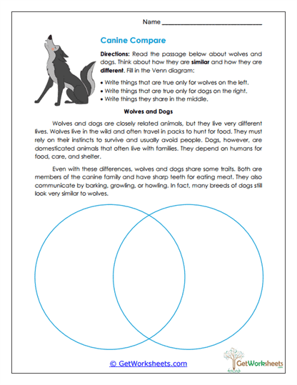 Wolves and Dogs Worksheet