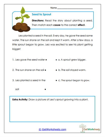 Seed to Sprout Worksheet