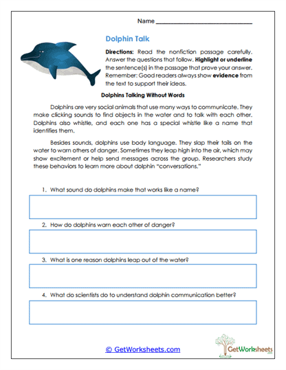 Dolphin Communication Worksheet