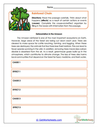 Rainforest Chain Worksheet