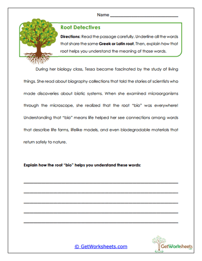 Root Detectives Worksheet