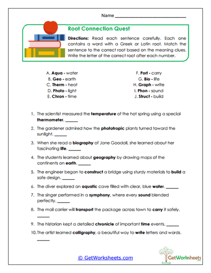 Root Connection Quest Worksheet