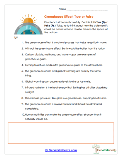 Greenhouse True/False Worksheet
