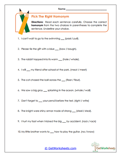 Pick the Right Homonym Worksheet