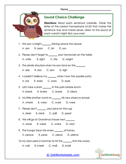 Homophone Worksheets