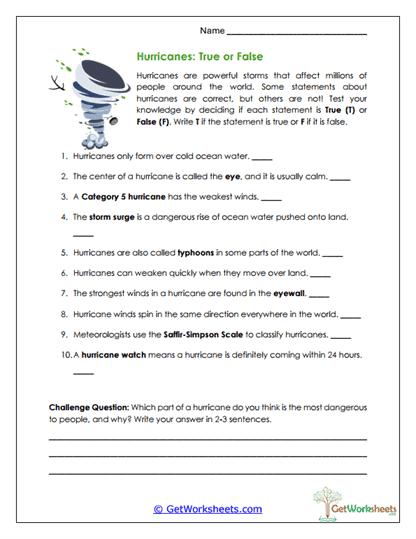 True or False Worksheet