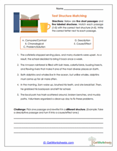 Identifying Text Structures Worksheets - GetWorksheets.com