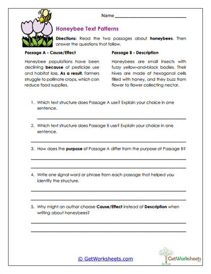 Honeybee Text Patterns Worksheet