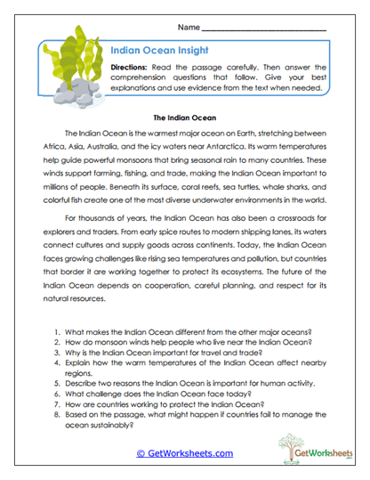 Ocean Insight Worksheet