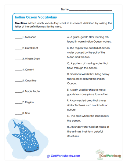 Ocean Vocabulary Worksheet