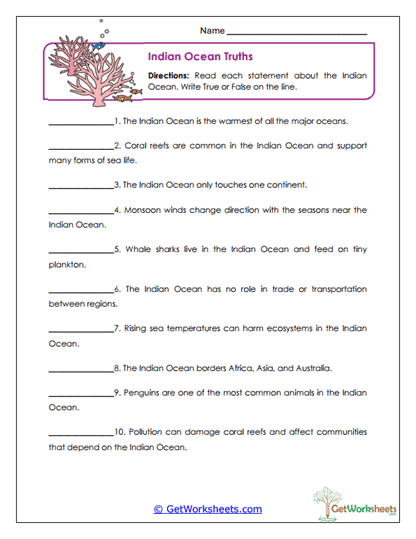 Ocean Truths Worksheet