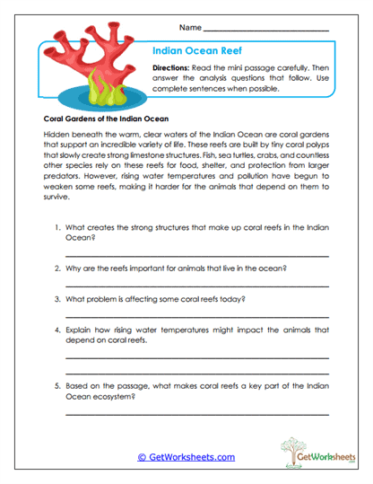 Ocean Reef Worksheet