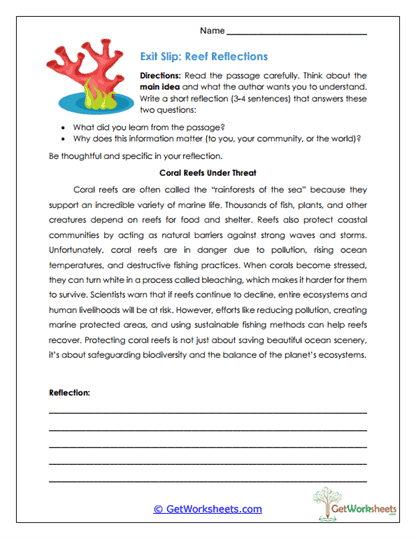 Reef Reflections Worksheet