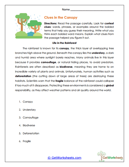 Clues in the Canopy Worksheet