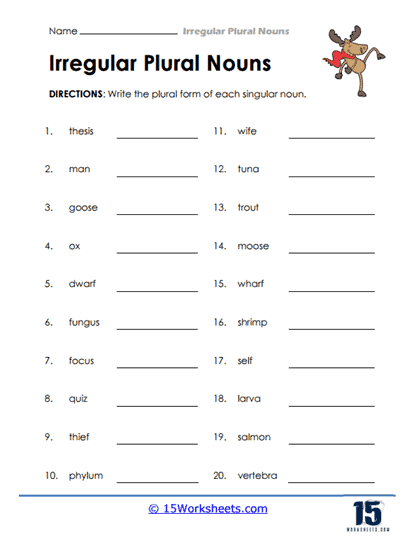 Writing Irregular Plurals Worksheet